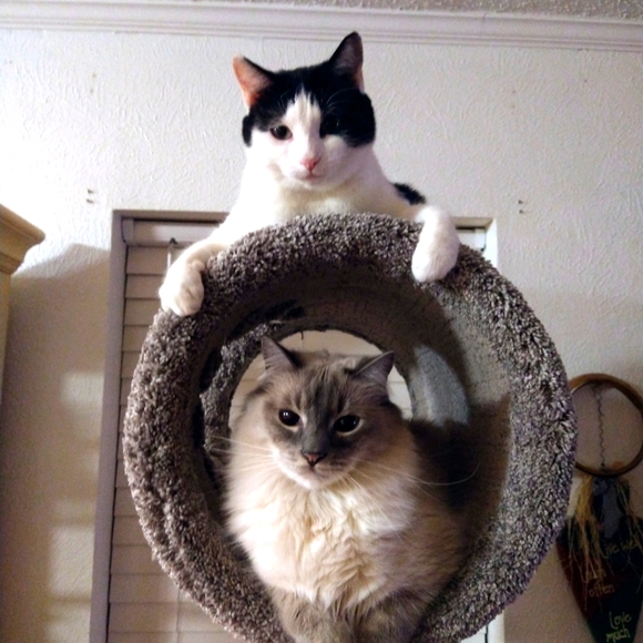 Meet your Posher, Julie - Picture 9 of 12